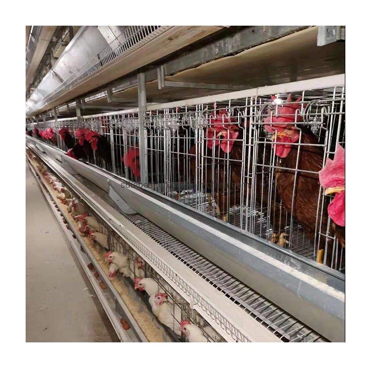 Automatic Hot Galvanized Battery Layer Chicken Cage Equipment