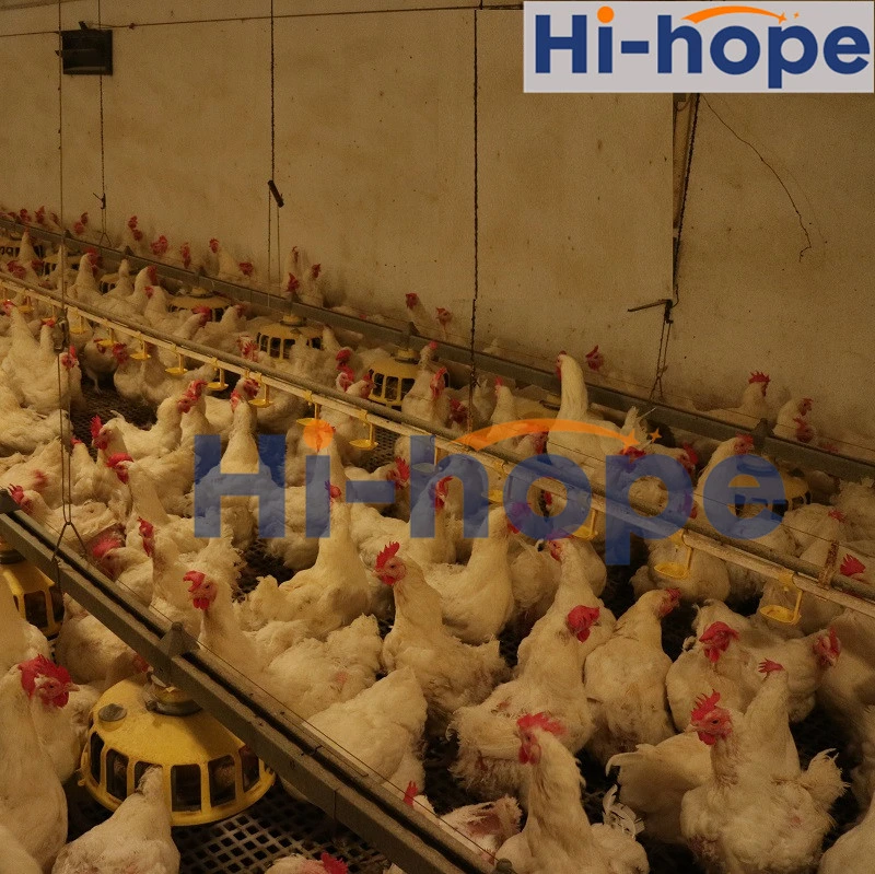 Automatic Chicken Nipple Drinker Broiler Waterer Drinking System