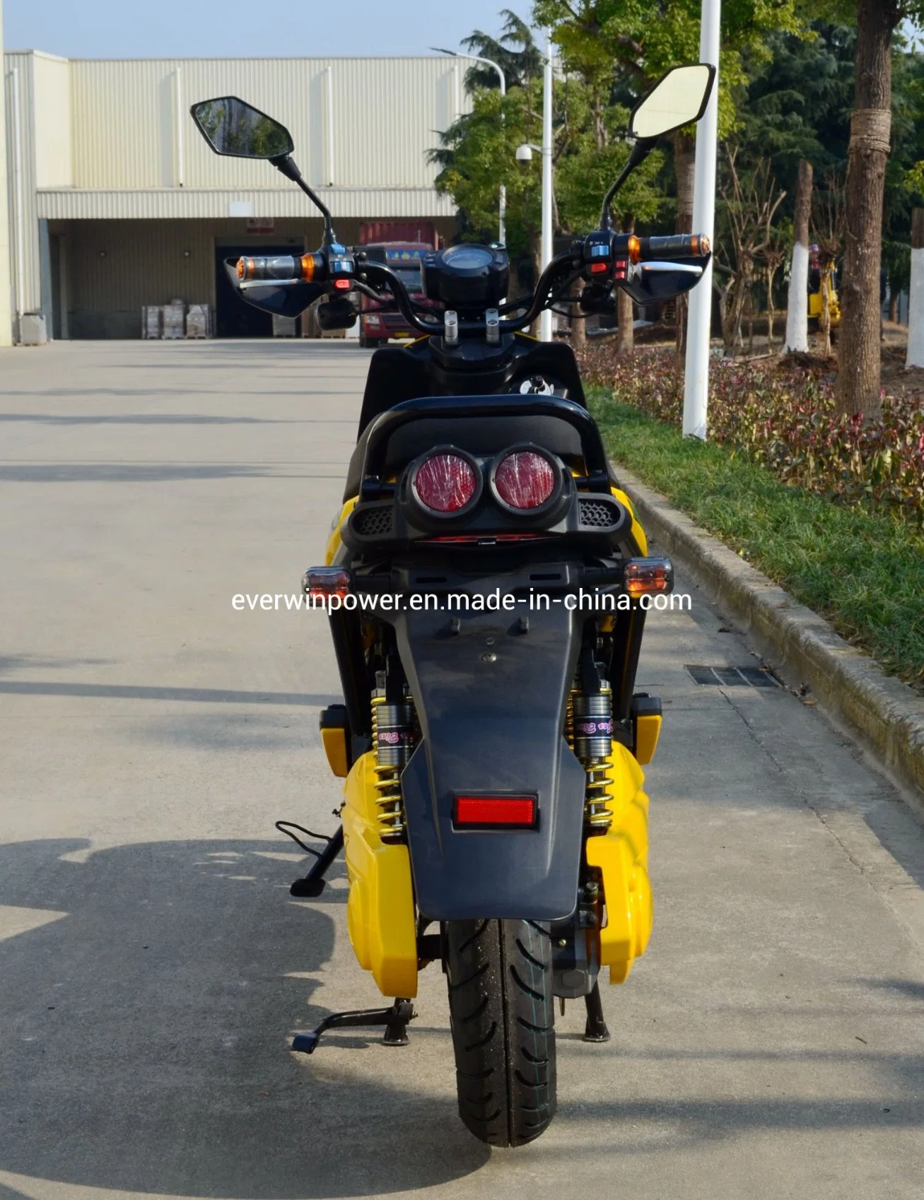 2000W Motor Electric Scooter with Good Performance Big Power