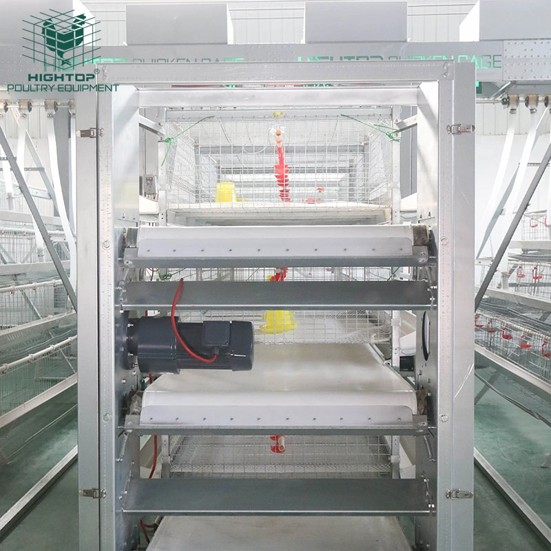 3 Tier H Type Battery Feeding Automatic Broiler Chicken Cage