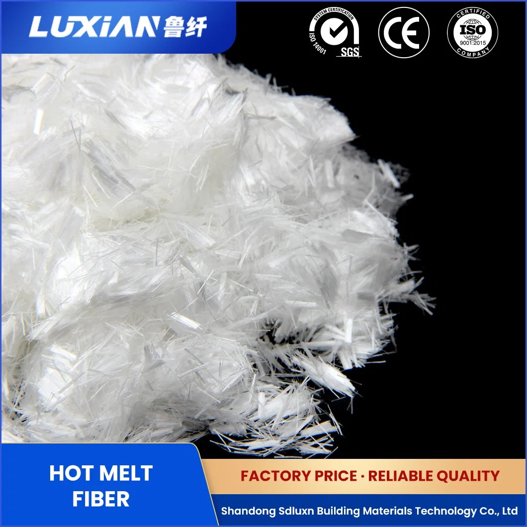 Sdluxn Monofilament Free Sample Synthetic Resin Lx Dr-160 Composite Hot Melt Fiber China 3 4 6 8 Length (mm) Explosion-Proof PP Staple Flber Manufacturing