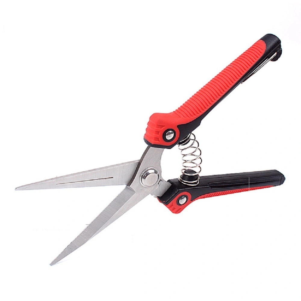 Stainless Steel Blades Hand Pruner Pruning Shear with Straight, Garden Scissors for Flowers, Trimming Plants Bl17743