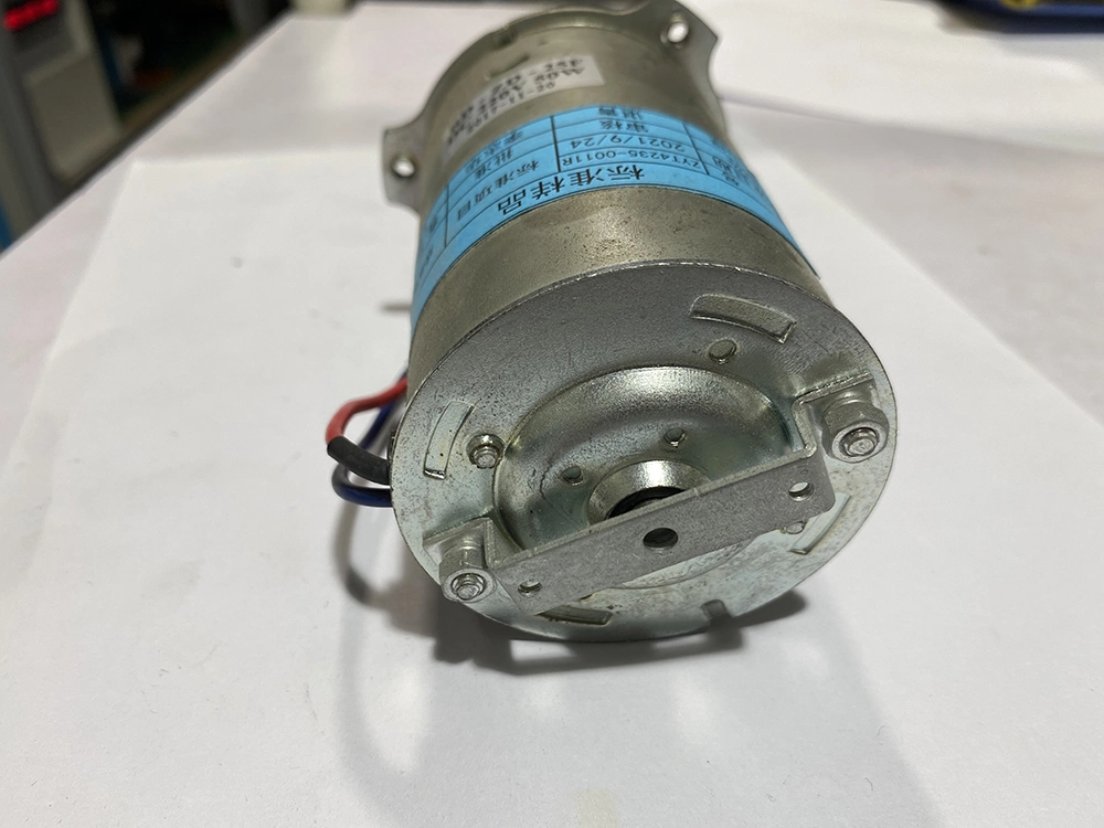 60W 220V Adjustable Speed Motor with Ear Perendev Magnetic Motor Zyt DC Motor