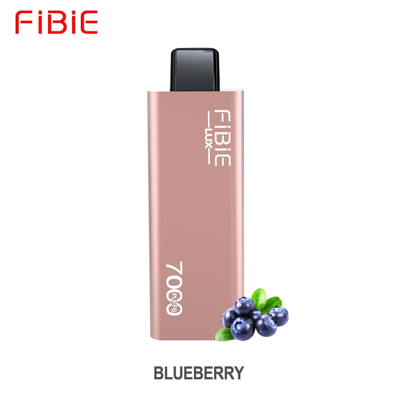 Fibie Lux Big Cloud Fruit Flavour Vape Pen Einweg E-Zigarette 7000 Puffs