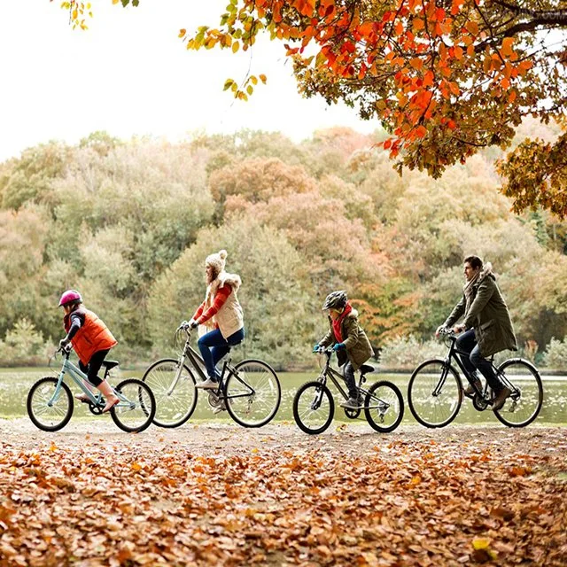 2017 Nuevo producto de la ciudad de alta calidad de bicicletas (CTB11).