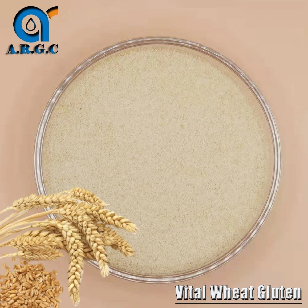 Wheat Gluten with Stable Quality From Own Planting Base Vital Wheat Gluten Powder