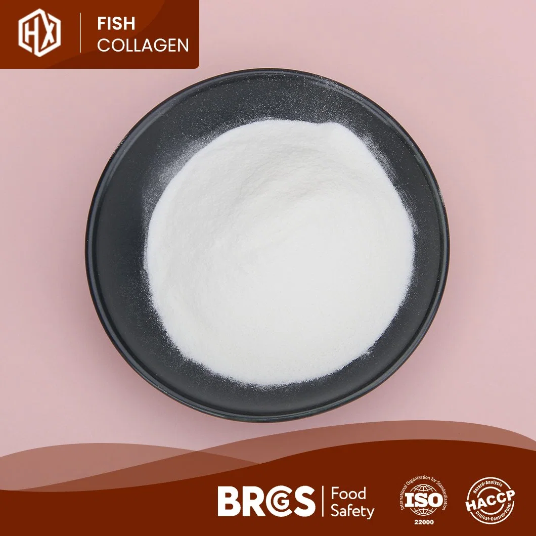 Haoxiang China Hersteller Versorgung Beste Fisch Collagen Peptide Pulver Aus Frische Tilapia Fisch Skala maßgeschneiderte Gesundheit und Schönheit Marine Skala Kollagenpulver