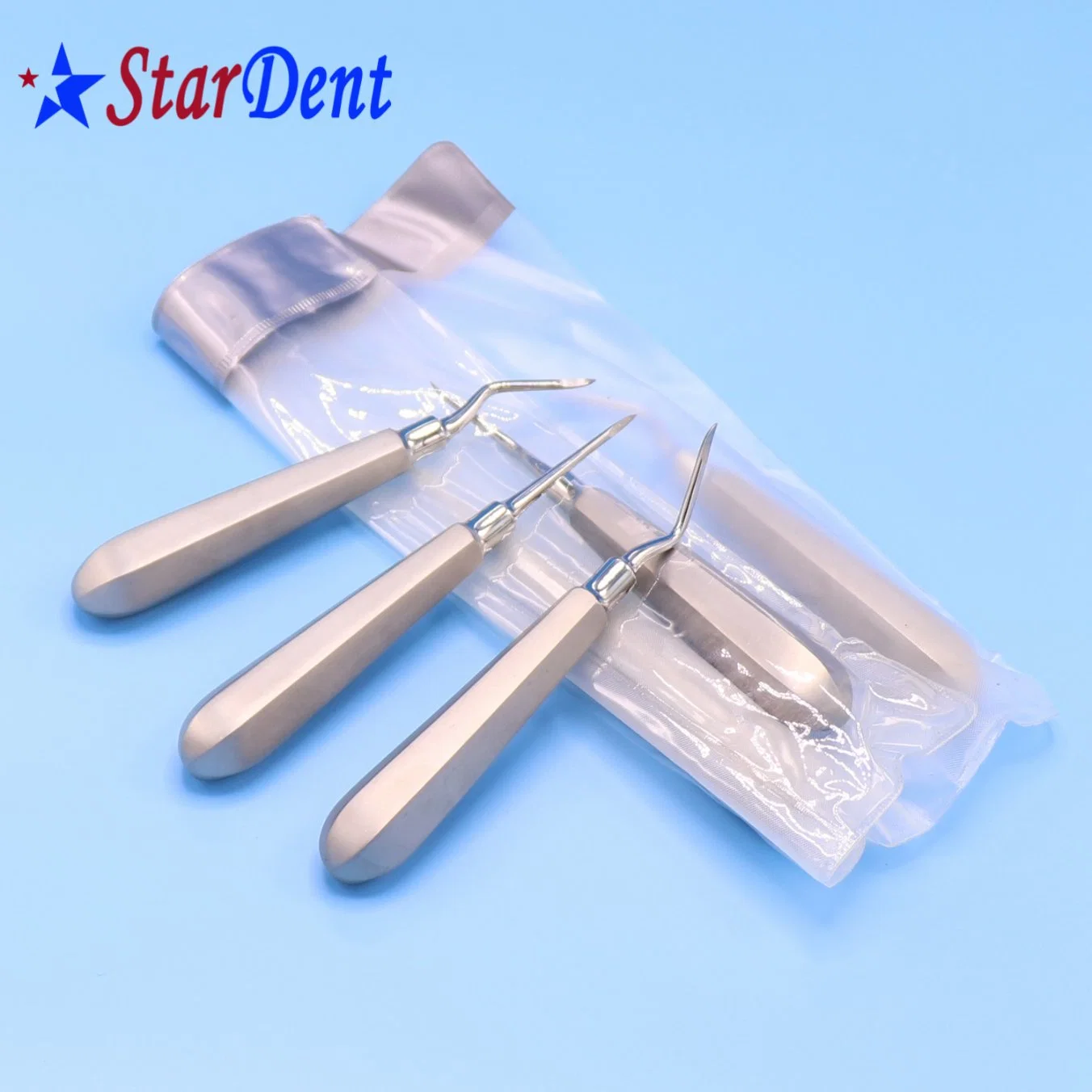 Hot Sale Dental Elevator Set/Dental Equipment/Dental Supplies