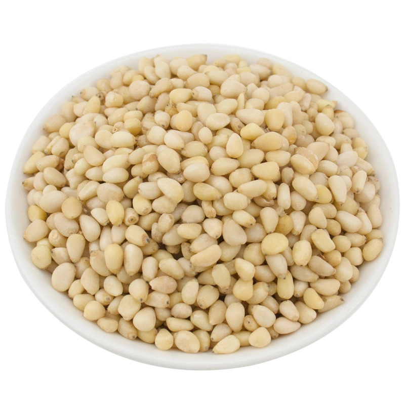 Top Quality Pine Nuts Kernels