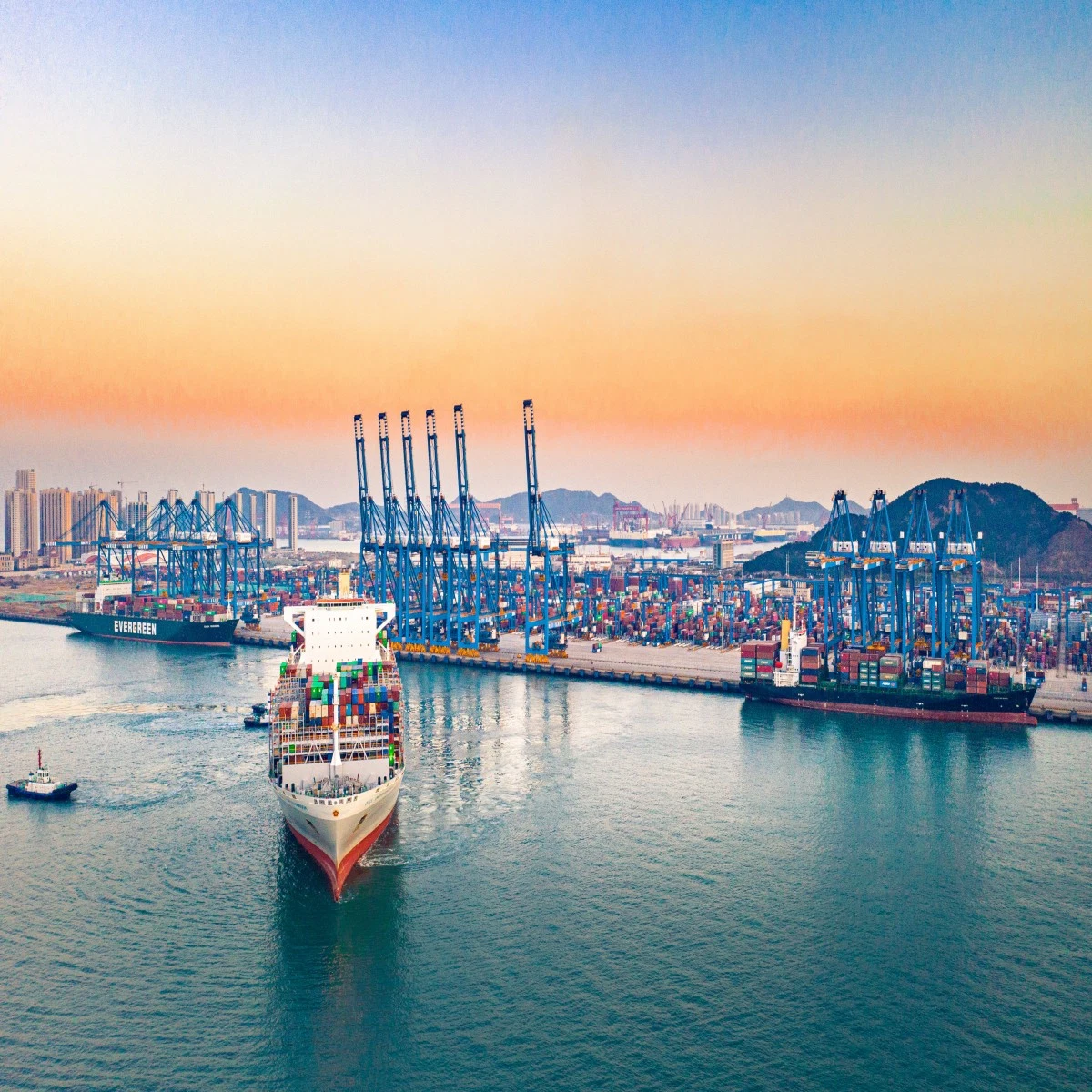 Transporte marítimo profesional de la expedición del flete de China a Guayaquil, Ecuador