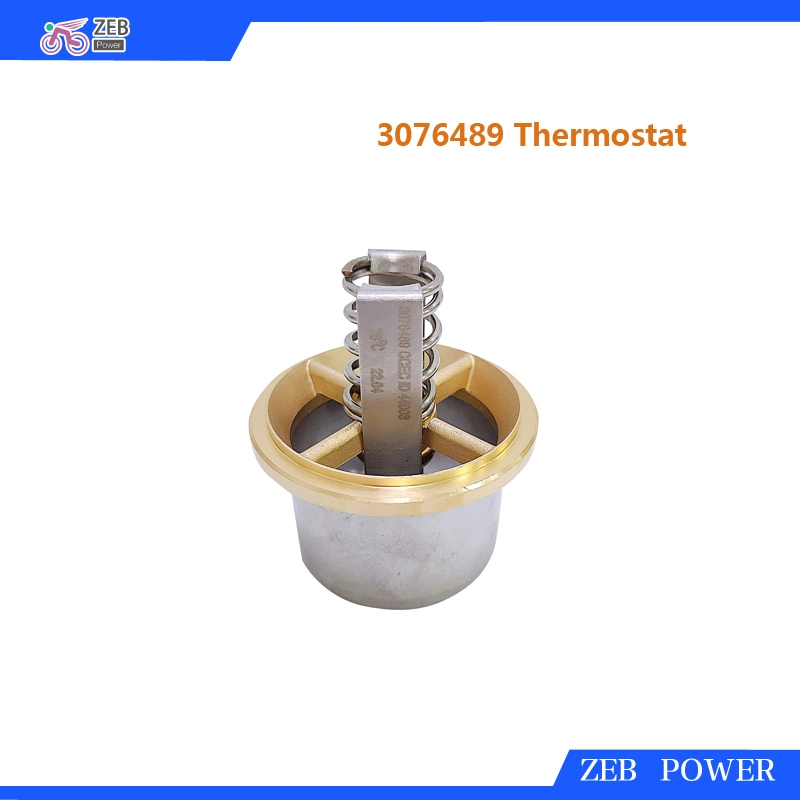 Thermostat 3076489 for Engines L10, M11, N14 Kta19, Kta38, Kta50 and Qsk19