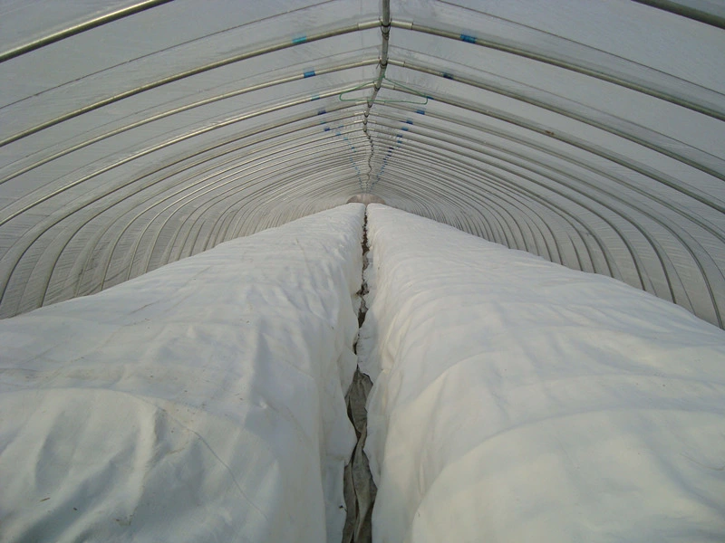 17g PP Spunbond Nonwoven for Agriculture Cover