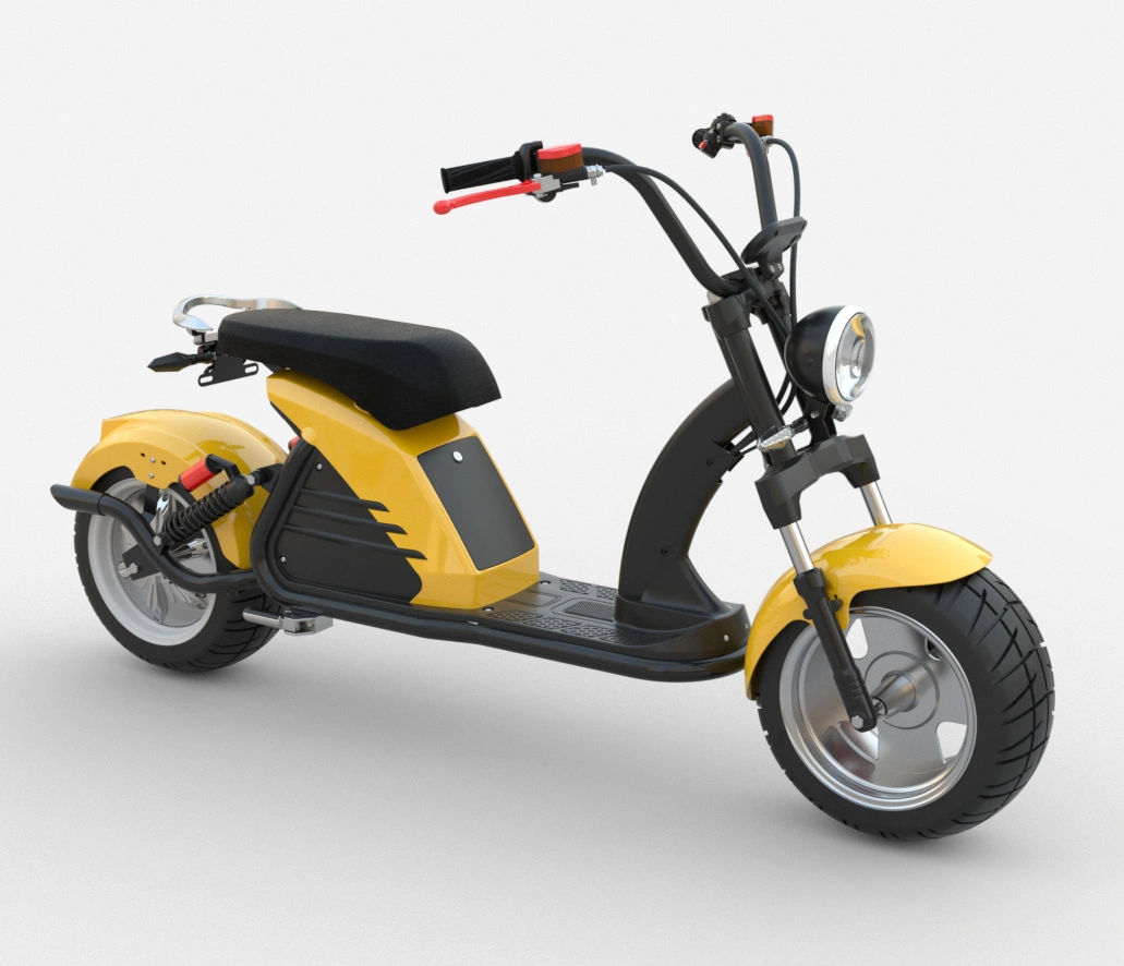 2000W/3000W 10 pouces/12 pouces Scooter électrique Citycoco pour adultes Nouvelle moto électrique EEC.