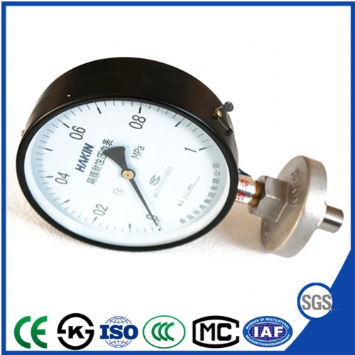 Diaphragm Seal and Corrosion Resistant Pressure Gauge with Best Price
