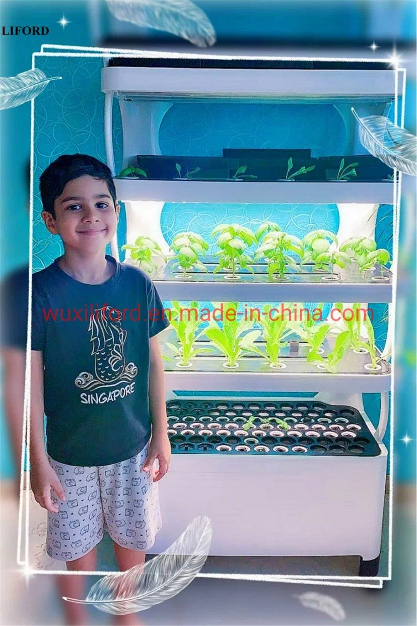 Complete Indoor Vertical Farm Nft Automated Hydroponics Growing System