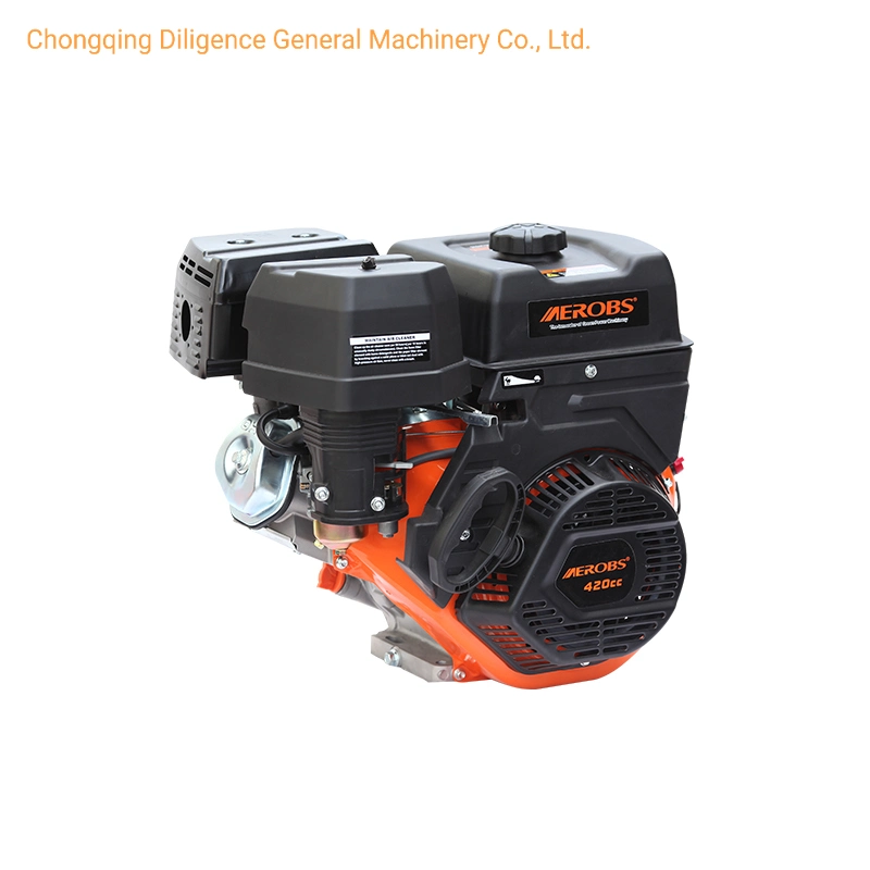 15HP 14HP Small Portable 420ml Four Stroke Gasoline Engine with CE Certificate BS420s