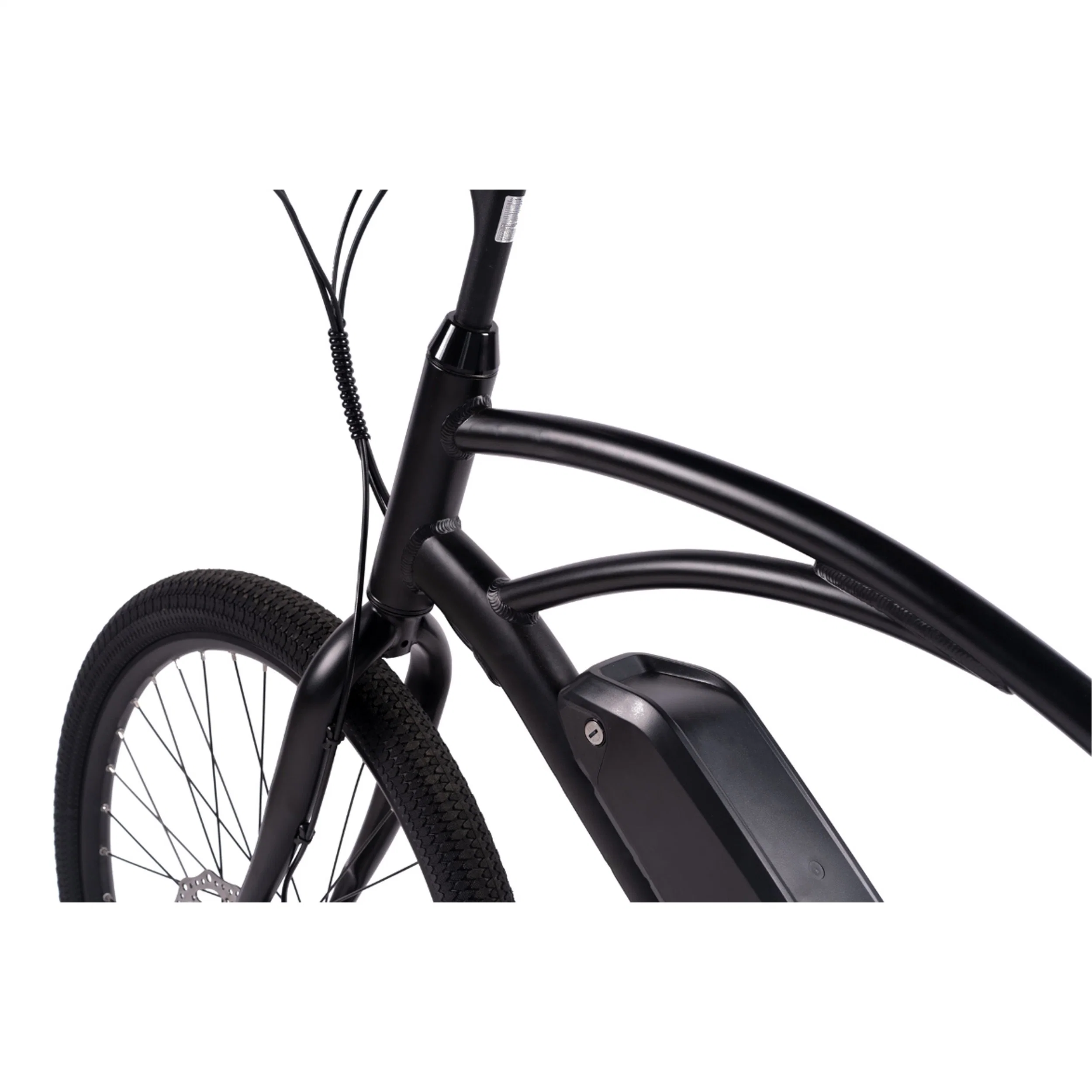 Nueva llegada 36V E-Bikes Precio barato Full Suspension Mountain Dirt Bicicleta eléctrica E bicicleta eBike