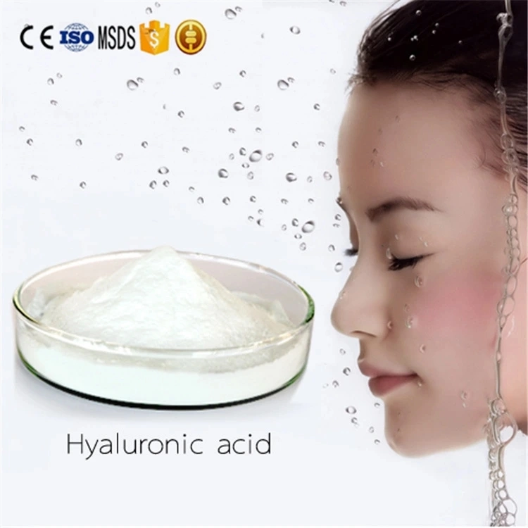 Powder Form Joints Health Products Food Grade Hyaluronic Acid