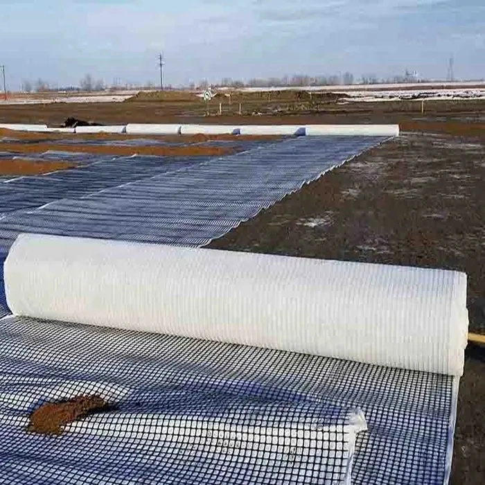 Railway /Highway Construction Materials Geogrid Composite with Geotextile