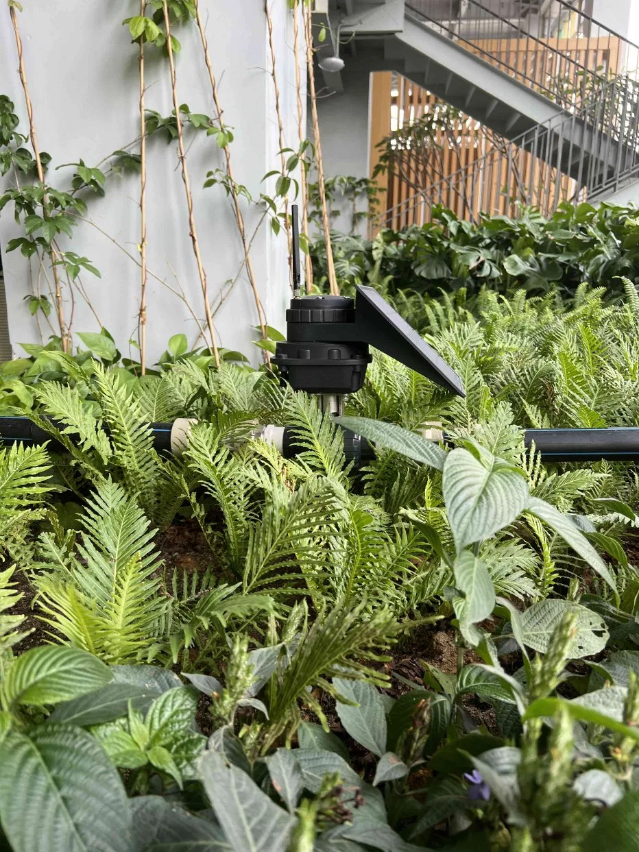 Lora/GSM basados Energía Solar Riego por Goteo para el campo de maíz dulce