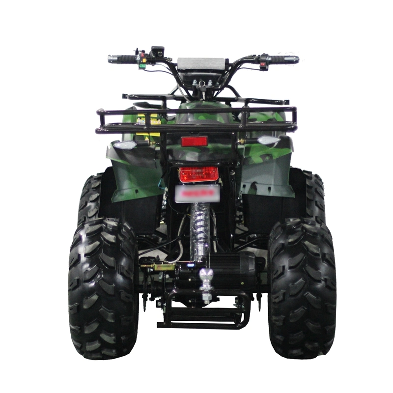 Chinese Manufacturer Cool Design 1000W 1200W 1500W Electric ATV Bike for Adults