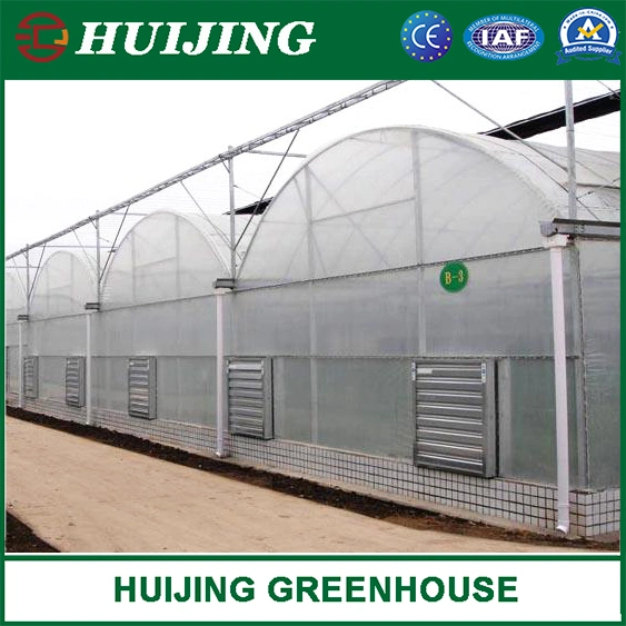 Agricultural Multi Span Po/PE Film Vegetable Greenhouse with Cooling System
