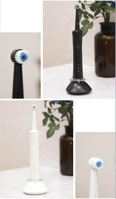 Whitening Inductive Charging FDA Electric Toothbrush with Rotary Brush Head