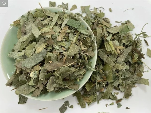 E. K Herb Natural Yinyang Huo Horny Goat Extract Epimedium Leaf Extract Icariin 10%~98%