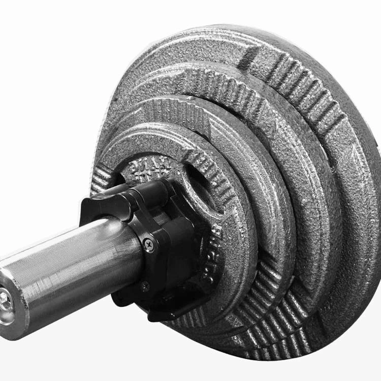 Factory Sales Gym Equipment Cast Iron Plate with Paint Osf-019