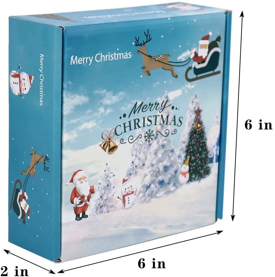 Full-Color Printing Blue Corrugated Carton for Christmas