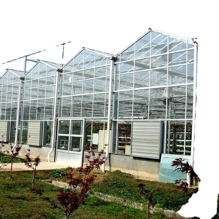 Vegetables Hydroponic Systems Equipment Multi-Span Glass Greenhouse