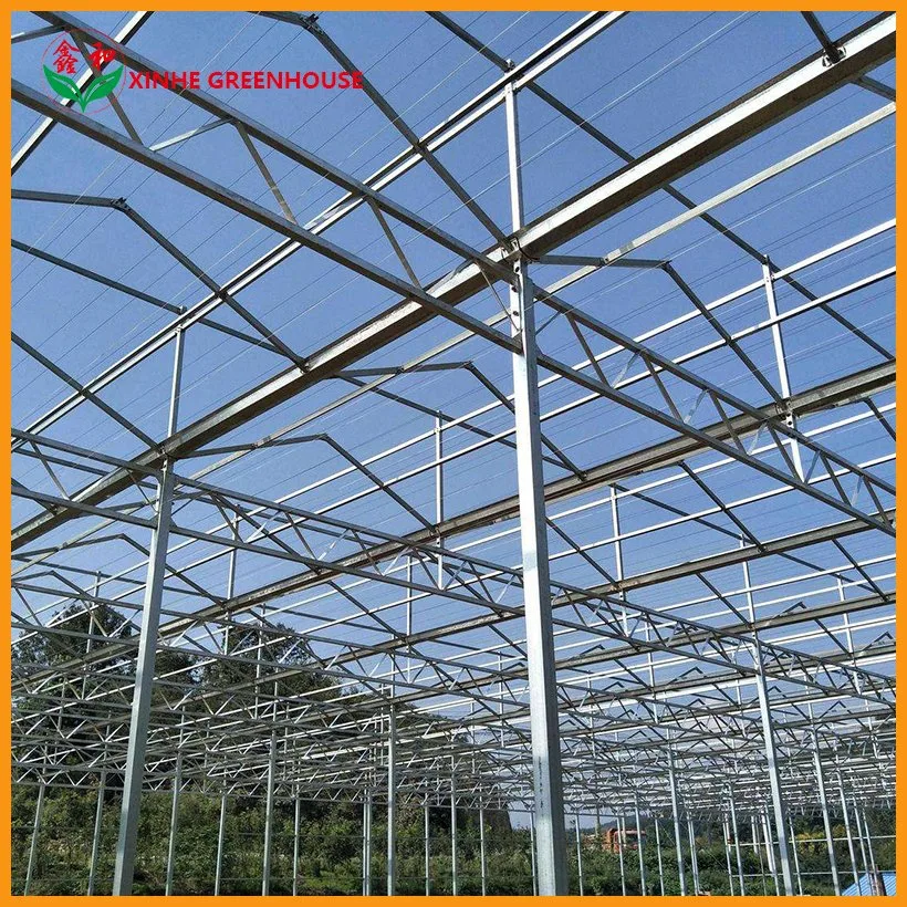 Large Span Garden Glass Greenhouse Hydroponic System