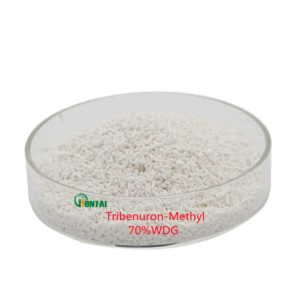 مبيد الأعشاب عالي الجودة Tribenuron Methyl 75%Wdg مبيد الأعشاب