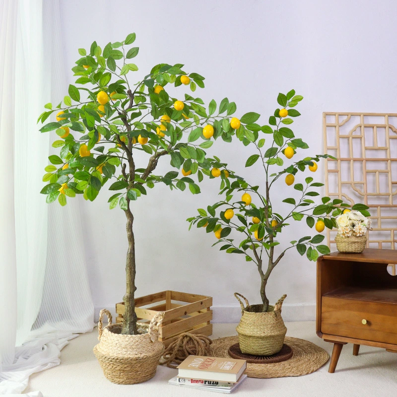 Декоративные фо лимона плодовых деревьев, завод герметизированное дерево пластиковые лимона завод бонсай