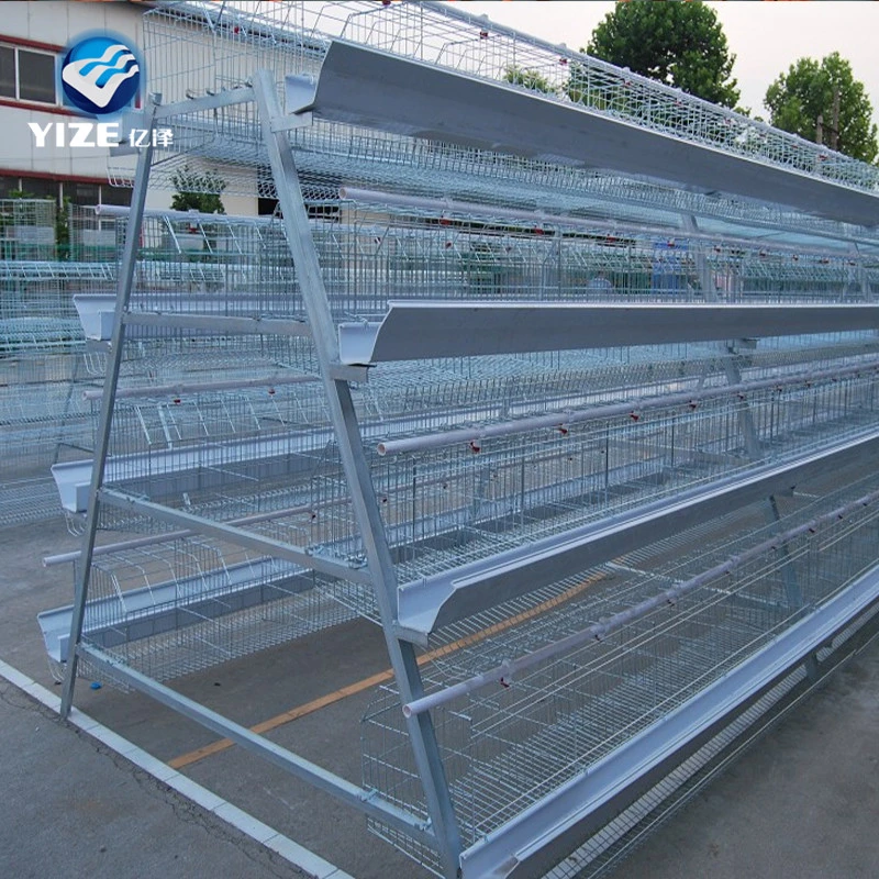 Design Layer Chicken Cages Customizable Galvanized Steel Poultry Enclosure