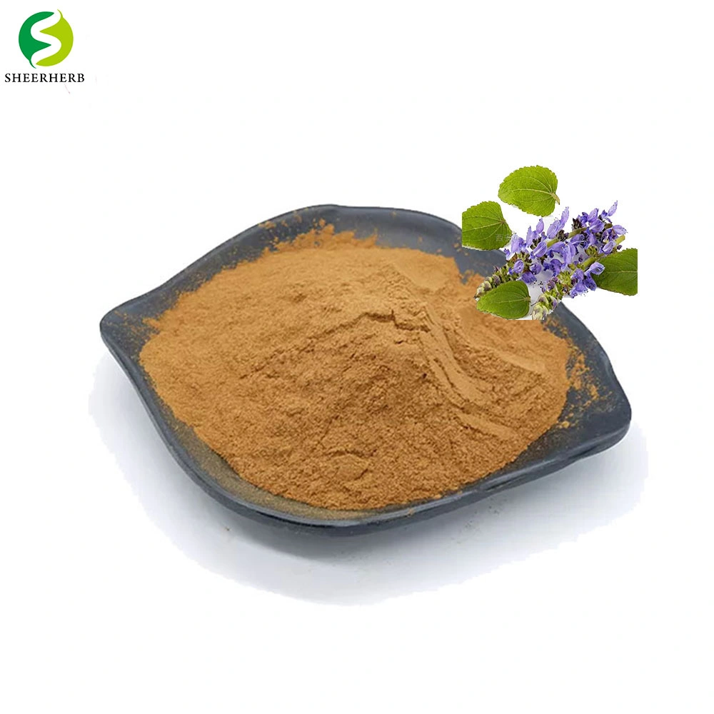 No Additives Food Grade Coleus Forskohlii Extract Powder