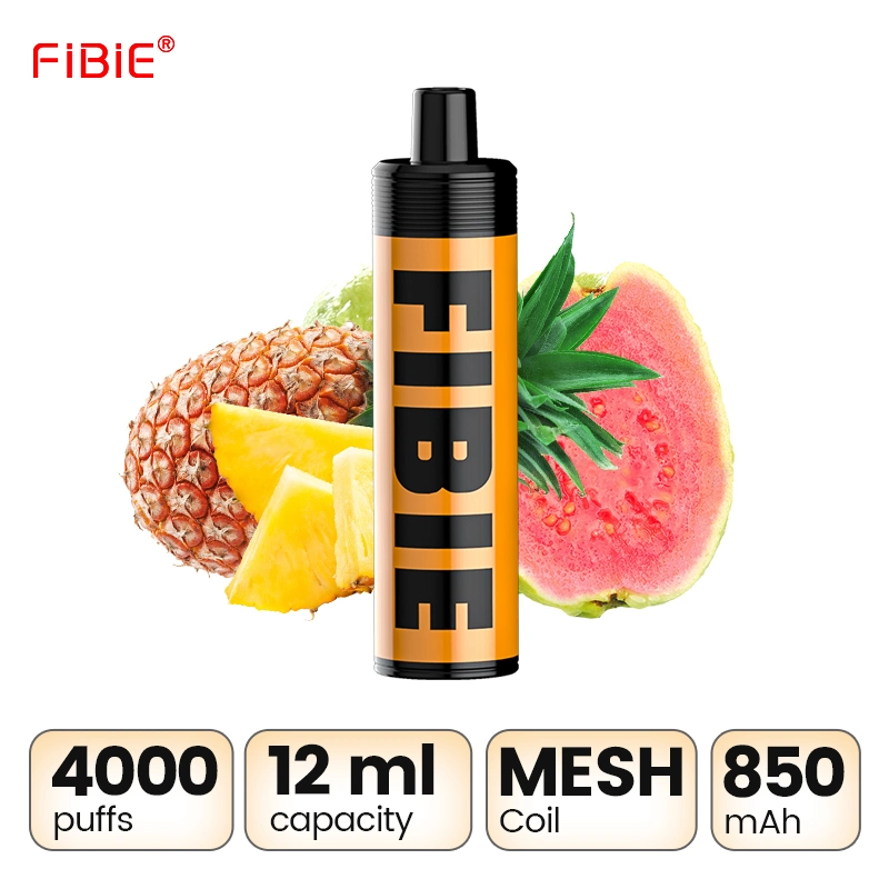 Commerce de gros 12ml arôme de mangue fumer E Vape 4000bouffées Best Online Shop Max jetables E narguilé