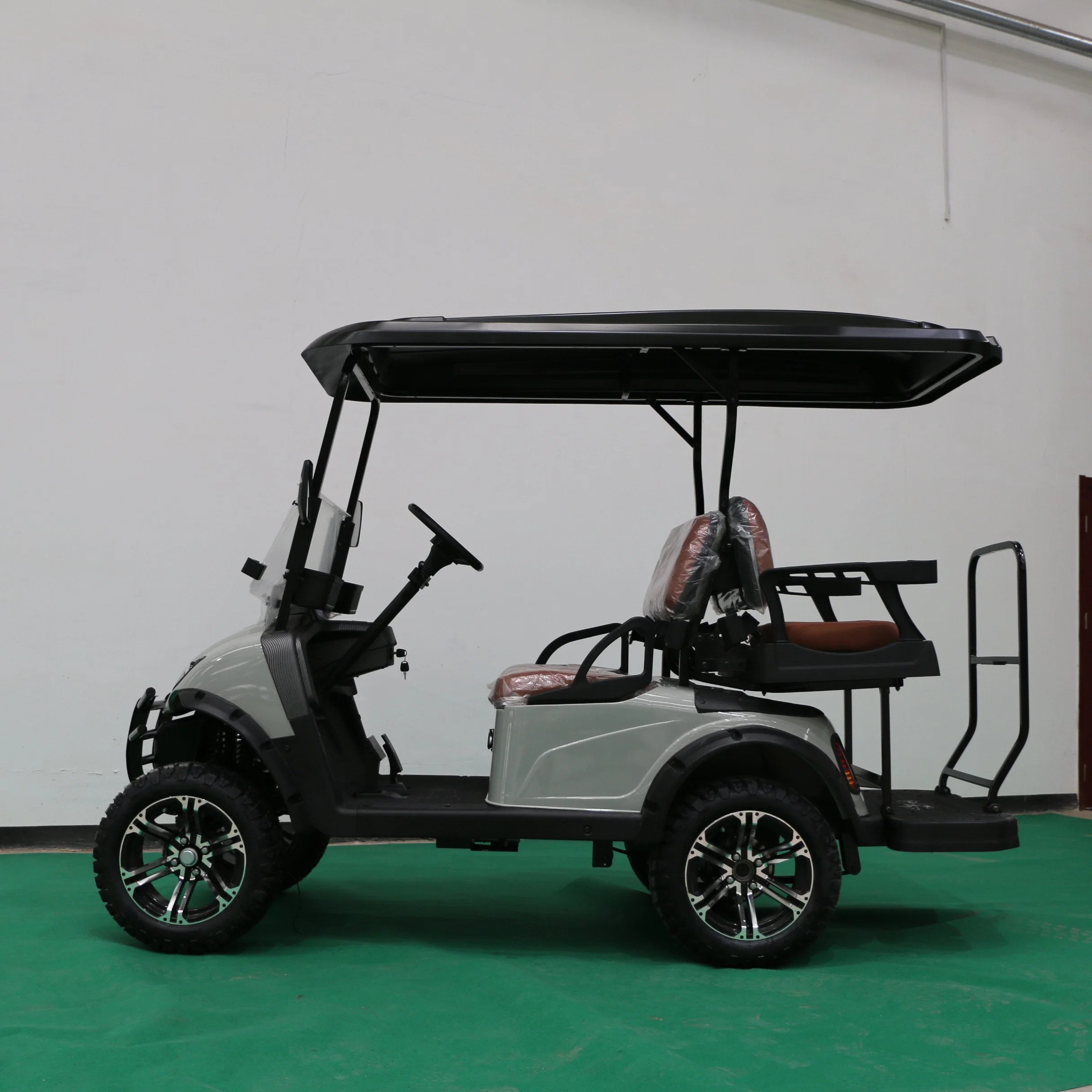 Electric Golf Cart with Entertainment Audio and Light Tape