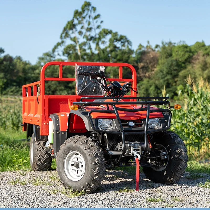 Max. Speed 65km/H Four Wheeler 250cc 300cc 4X2 Beach Buggy