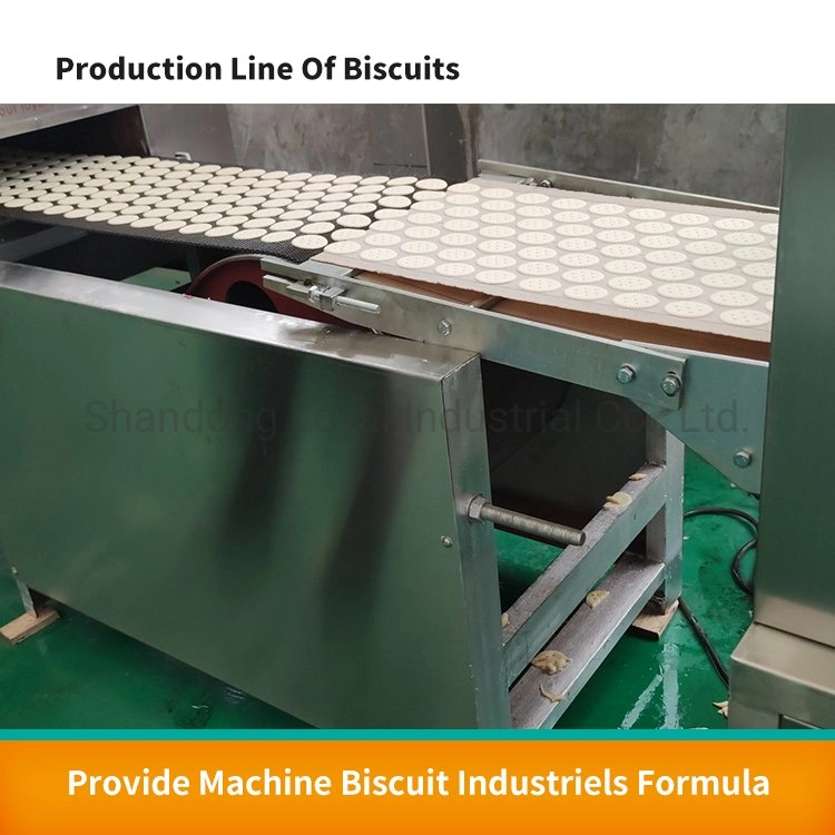 Healthy Biscuit Machine Fully Automatic Big Output Dog Biscuits Machine Soft and Hard Biscuit Production Line