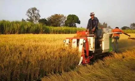 Tracteur à chenilles de la télécommande multifonction Micro timon cultivateur rotatif