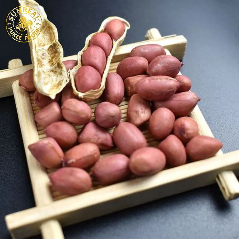 Red Skin/Roasted Peanut in Shell/Plump Seeds