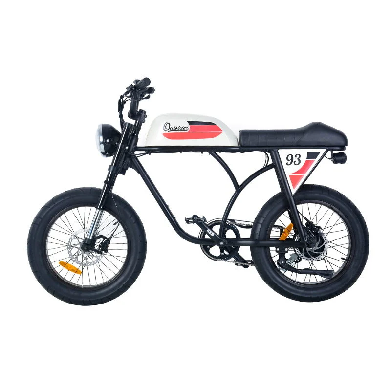 750W Powerful Dirt Ebike with 180mm Front and Rear Disc Brake