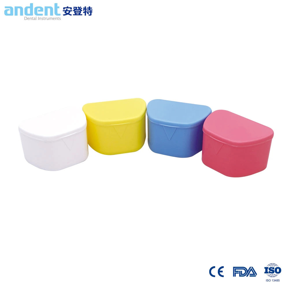 PP Dental Case Denture Storage Container Box