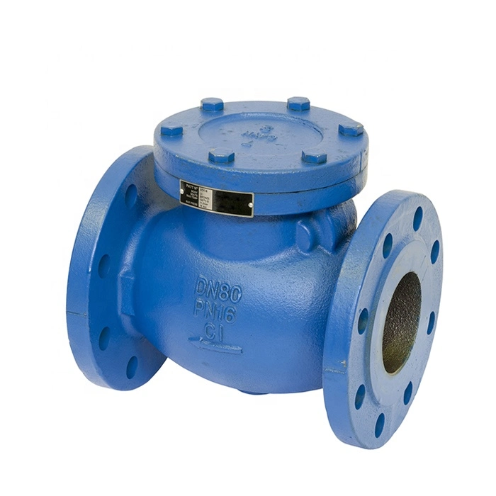 1 Inch Swing Check Valve with Cast Iron Carbon Steel Stainless Steel as Customized