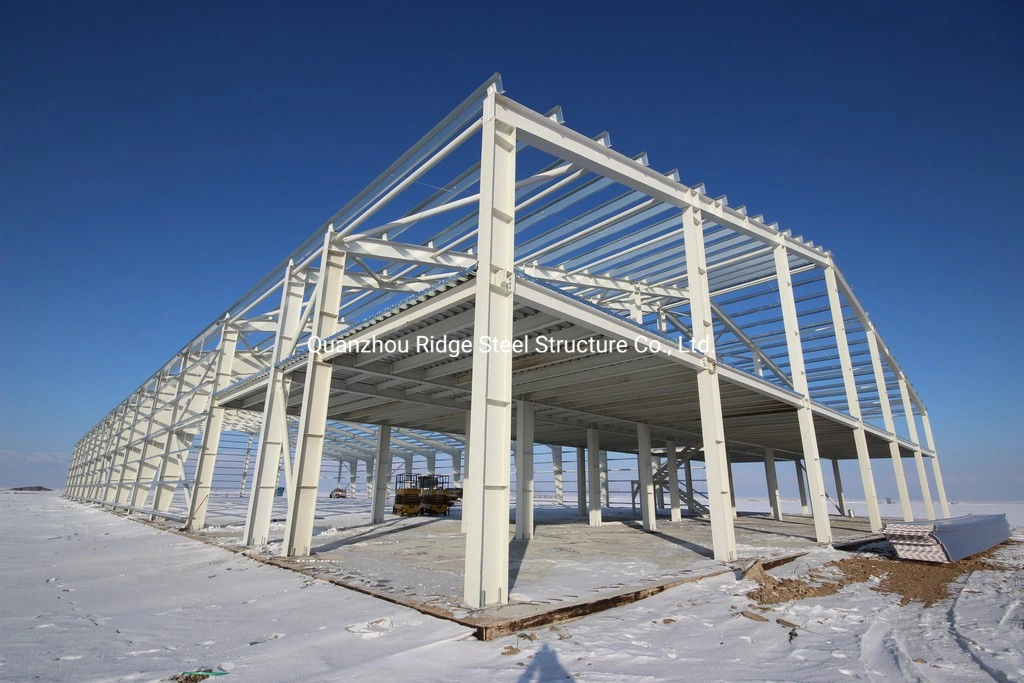 High Strength Sloping Roof Low Cost Industrial Shed Galvanized Steel Structure Frame for Warehouse Self Storage Steel Building