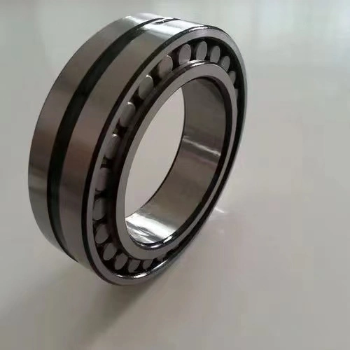 Agricultural Double Row Cylindrical Roller Bearing Nu1004