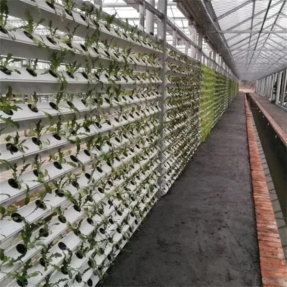 نظام القنوات الهيدروبونية في أنابيب قنوات الدفيئة وNft الزراعية لنمو Hydroponic