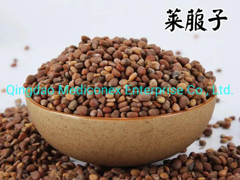 Raphanus Sativus Seed Natural Herb Plant Prepared Traditional Chinese Herbal Medicine Indigestion