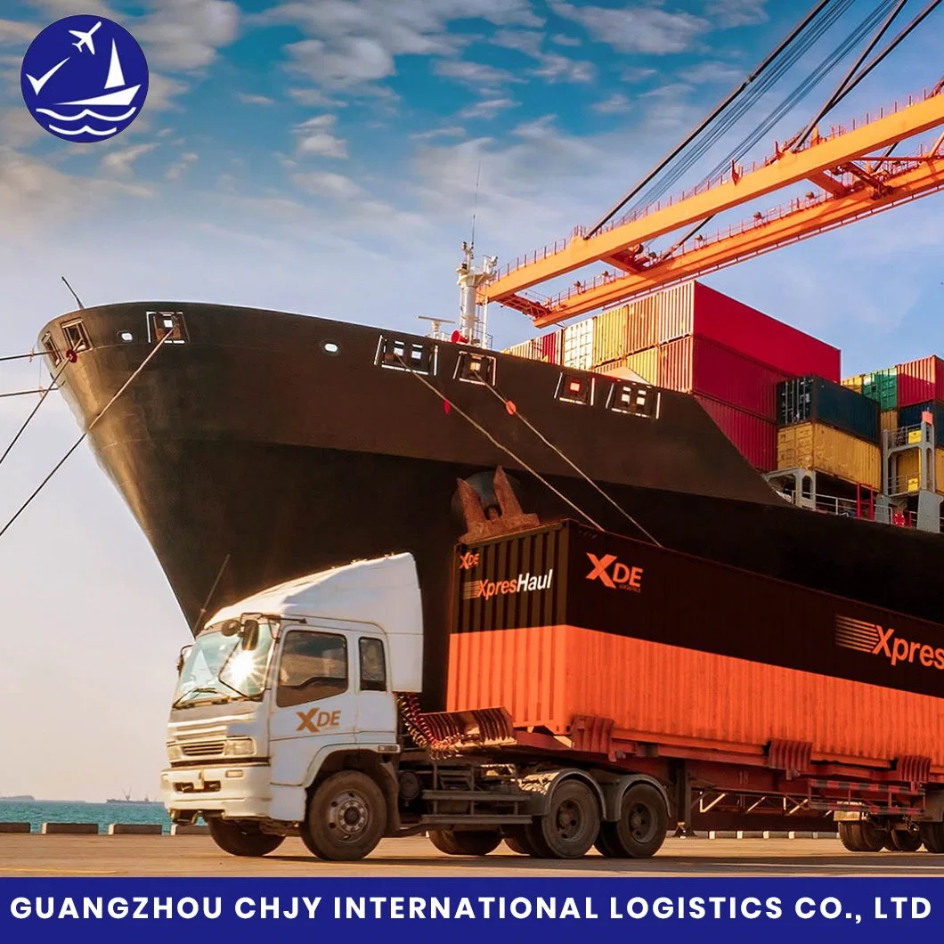 Confiable y profesional EXW, FOB, CIF, DDU, DDP DAP del transporte marítimo internacional de China a Bélgica.